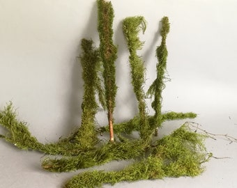 10psc of Moss Branches / Terrarium Decor Twigs / Natural Moss Covered Branches / Natural Floral Craft Supplies / Decorative Christmas Forest