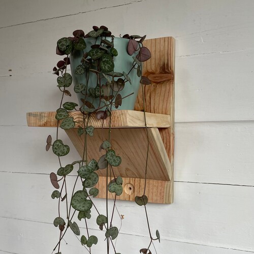 Floating Reclaimed Wooden Plant Shelf Etsy UK