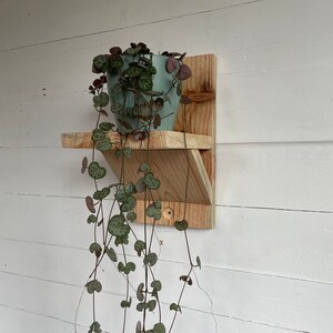 May include: A wooden wall shelf with a light green pot and a trailing plant with green leaves and burgundy accents. The shelf is mounted on a white wall.
