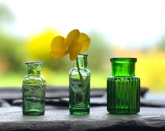 Pequeñas botellas antiguas, botellas de vidrio verde, botellas de boticario vintage, botellas homeopáticas, botellas de medicina, botella de poción, botellas vintage