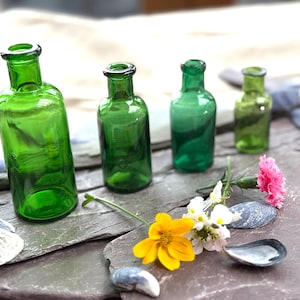 May include: Four green glass bottles of varying sizes are arranged on a dark gray stone surface, alongside seashells and flowers. The bottles are empty and have a vintage aesthetic. A yellow flower and a pink carnation are also present.