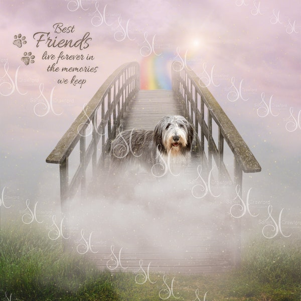 Rainbow bridge to heaven background with cloud and quote overlay