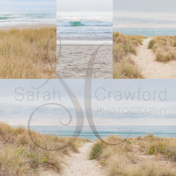 Fond de sable de plage et de dune herbeux, photos de scène de plage, photographie de paysage, fonds composites de plage, collection de plage