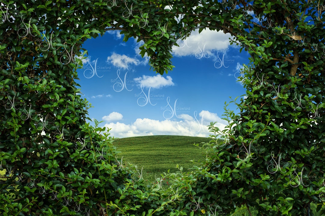 Heart Shaped Topiary Valentine’s Digital Background and Overlay - Etsy