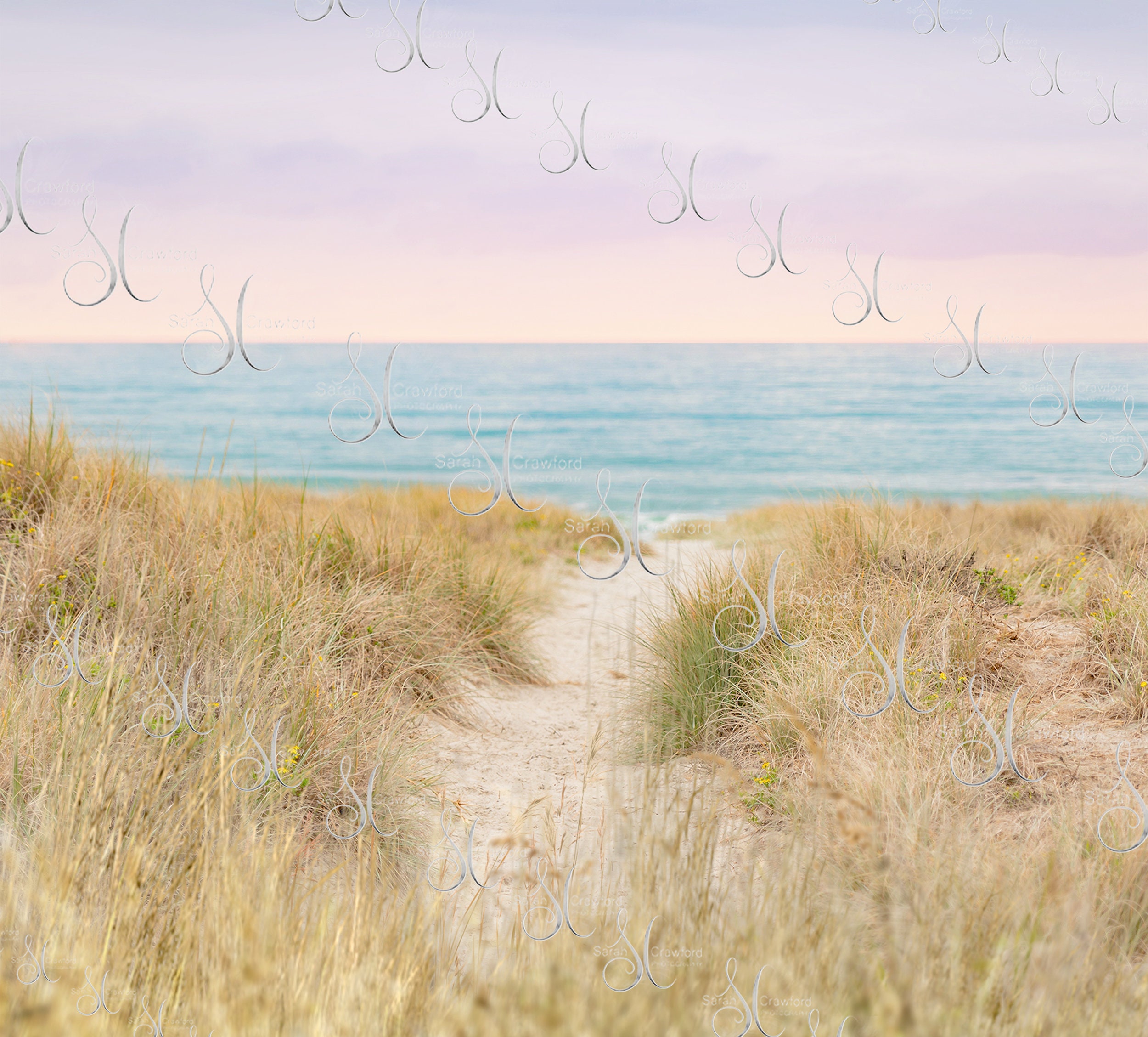 Beach Digital Background Composite With Grassy Overlay Png for Easy Editing  - Etsy