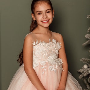 Flower girl dress, Blush flower girl dress, Tutu flower girl dress, Girl dress tulle, Lace girl dresses, Birthday dress, Ivory girl dress