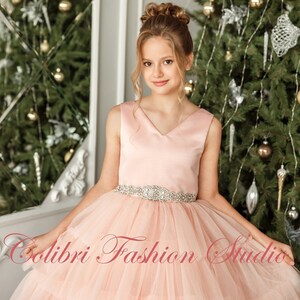 Little girl birthday dress, Flower girl dress tulle, Junior bridesmaid dresses, Puffy girl dress with embellishment, Gown for wedding