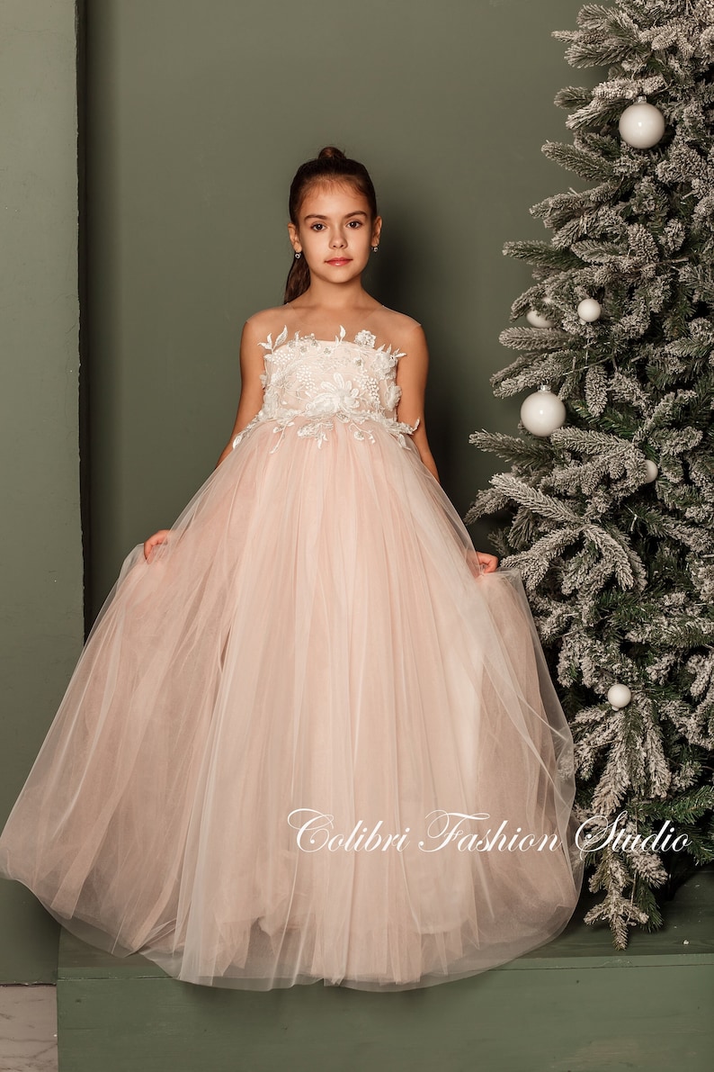 Flower Girl Dress Blush Flower Girl Dress Tutu Flower Girl Etsy