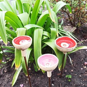 Könnte beinhalten: Drei keramische Gartenstecker in Blumenform mit roten und rosa Innenräumen. Die blütenförmigen Oberteile sind weiß gesprenkelt mit einem braunen Stiel. Die Stecker sind in dunkler Erde gepflanzt, umgeben von grünen Pflanzen.
