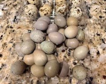 Más de 12 huevos de plata King y Lethal