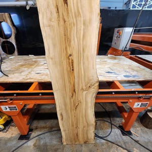 Live Edge Gum Wood Slab: Multi-Figured, Kiln Dried (64&quot; X 17&quot; X 1 1/8&quot;)