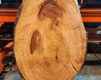 Cherry Live-edge Wood Slab | Cookie/Round Slab |  41" X  25" X 2.5"| Flattened, Planed, Vacuum-Kiln Dried