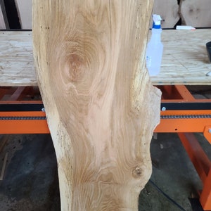Spalted Oak Wood Slab: Live Edge, Kiln Dried (48&quot; x 17&quot; x 1 1/4&quot;)