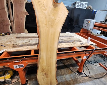 Live Edge Sassafras Wood Slab. Multi-Figured, planed, kiln dried (72"x20-13"x1 7/8")