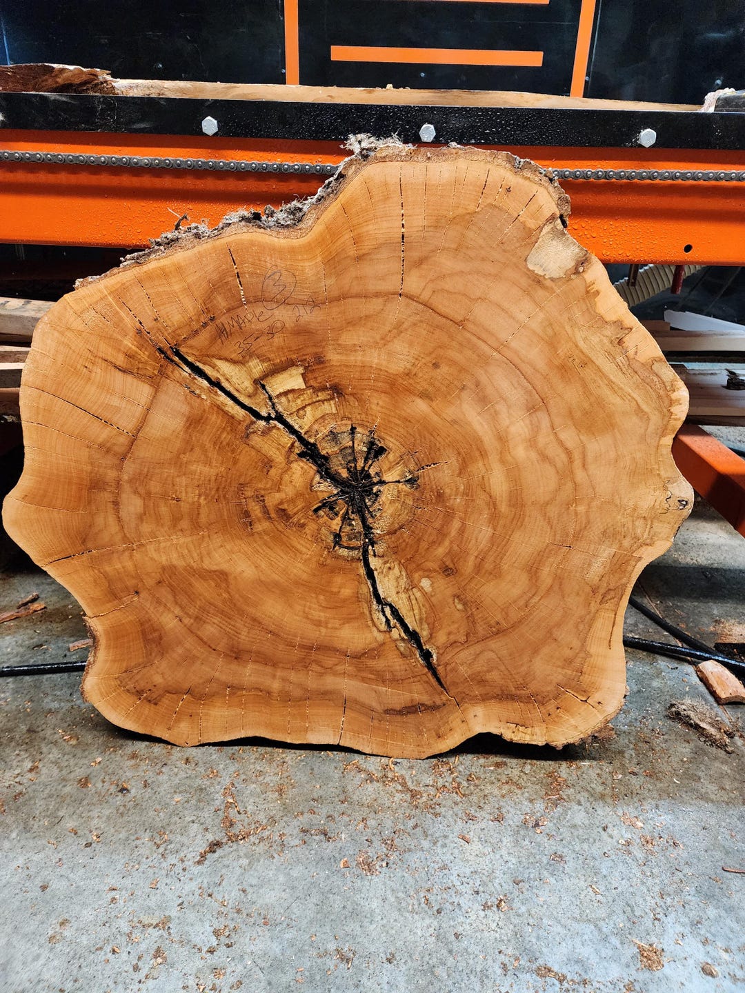 Spalted Hard Maple Live-edge Wood Slab | Cookie/round Slab | 35