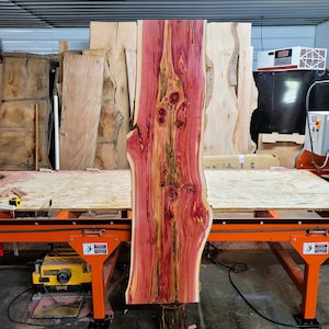 Live Edge Cedar Wood Slab: Multi-Figured, Planed, Kiln Dried (49&quot; X 16-21&quot; X 2&quot;)
