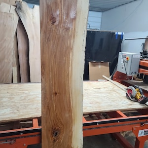 Spalted Beech Wood Slab. 82&quot; X 17 - 15&quot; X 1 1/4&quot; Half Live Edge (One side straight). Planed, Vacuum Kiln Dried.