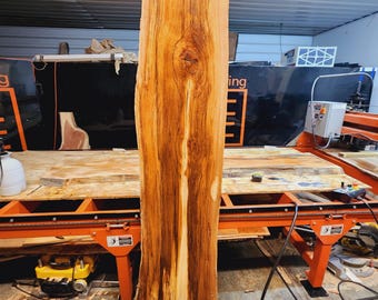 Spalted Live edge Red Oak Wood Slab. Multi-Figured, planed, kiln dried (90"x24-17"x1 3/8")
