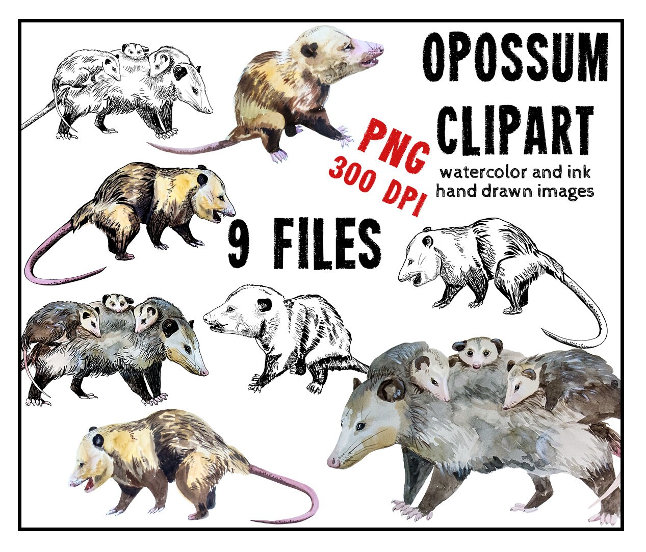 Printable opossum watercolor clipartink downloadpossum | Etsy