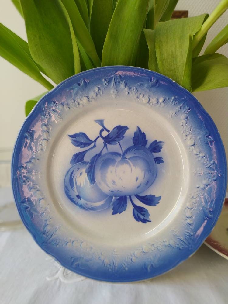 Assiette 1900 Marque Kg Keller et Guérin Lunéville Pommes Bleues