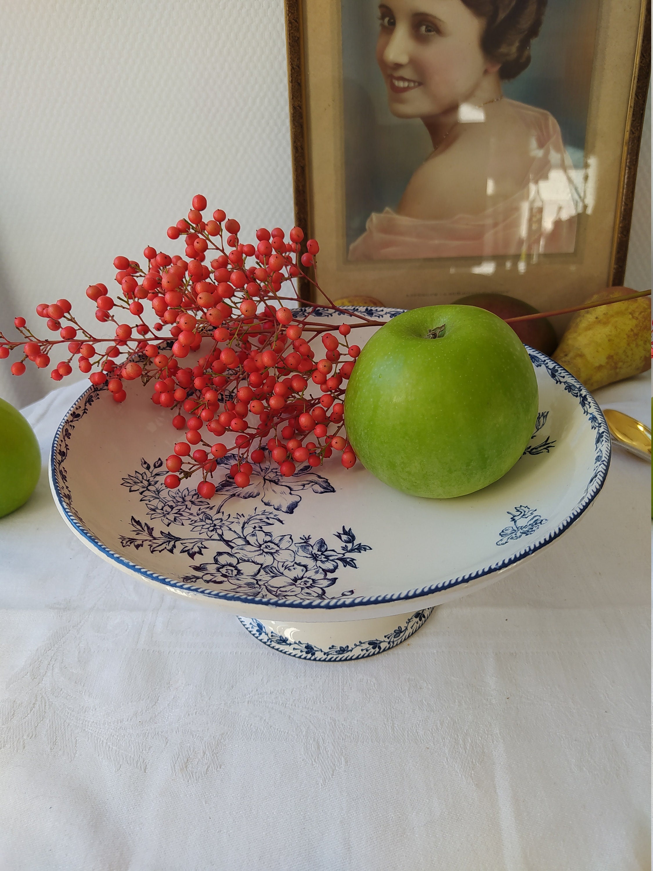 Plat à Gâteaux ou Compotier Terre de Fer Salins Décor Roses Aubépines Floral Assiette Présentation F