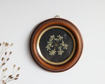 Herbier noir doré avec une rosace de fleur séchée blanche de la carotte sauvage - cadre rond en bois ancien - 12cm, fait main Upcycling