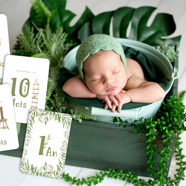 15 Cartes étapes naissance végétal, dino jungle et naturel sur 12 mois de la 1ère année bébé, vert et marron, coffret inclus