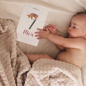 12 Grandes cartes étapes bébé naissance lama alpaga sur 12 mois, moutarde et lie de vin, coffret kraft illustré cadeau inclus - fille