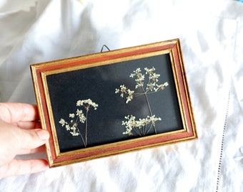 Old red wood rectangle frame Black herbarium and elegant white dried flower, chervil - old, rectangle Upcycling 14x19cm, horizontal