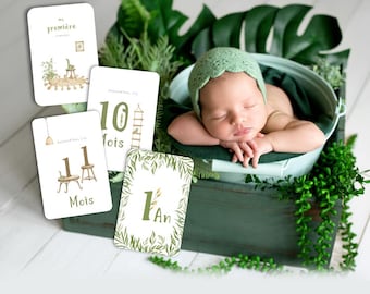 15 Plant, dino jungle and natural birth milestone cards over 12 months of the 1st year baby, green and brown, box included