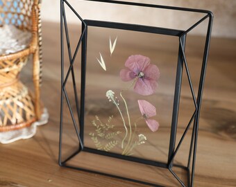 Delicate poppy herbarium in a modern double glass black metal frame, landscape of dried pressed wild carrot flower, handmade France