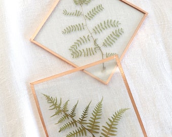 set of 2 fern and bird of paradise leaf coasters dried and pressed in glass decorated with copper, botanical art, kraft box included