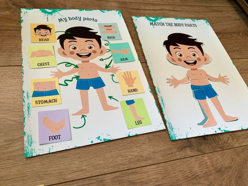 Body Parts Learning Activity Pack Human Anatomy Preschool Worksheets My Body Toddler Busy Binder Montessori Material image 6