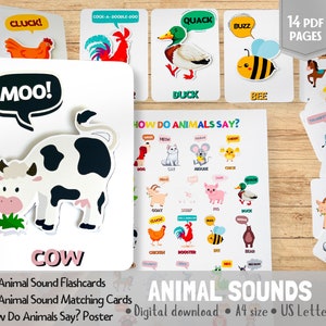 Sonidos de animales Aprendizaje Tarjetas didácticas de animales Materiales Montessori Plan de estudios de educación en el hogar Hojas de trabajo preescolares