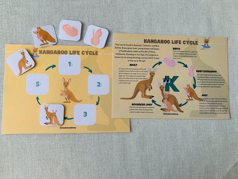 Australia Geography Activity Pack: Montessori Learning (PDF) - Etsy