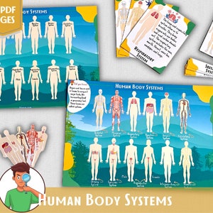 Anatomie Humaine Livre Occupé Systèmes Du Corps Humain Parties Du Corps Matériel Montessori Imprimable