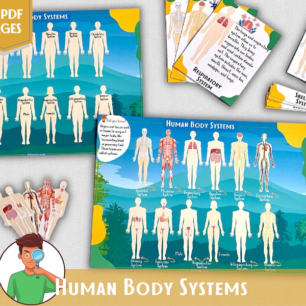 Human Anatomy Busy Book Human Body Systems Body Parts Printable Montessori Material