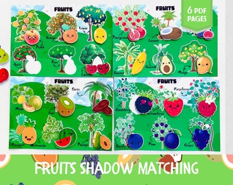 Feuille de travail pour le tri des fruits, activité d'association des ombres de fruits et de légumes, livre pour tout-petits, livre occupé, classeur d'apprentissage, matériel Montessori