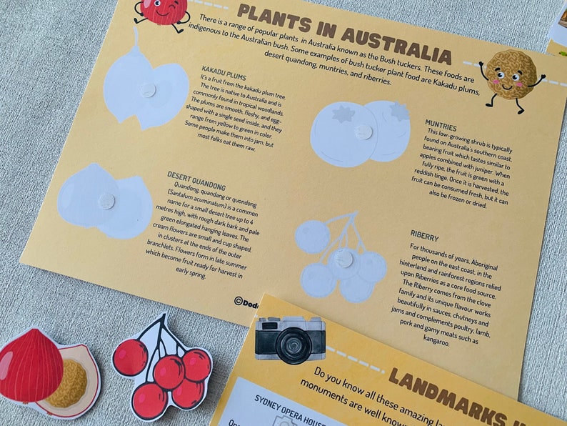 Australia Continents &amp; Oceans Printable Activity Pack World Geography ...