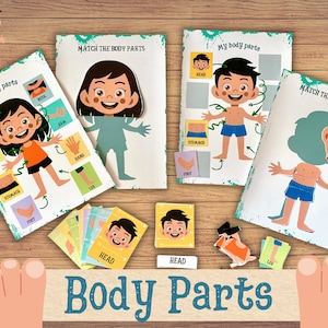 Lernaktivitätspaket „Körperteile“ Menschliche Anatomie Vorschularbeitsblätter Mein Körper Kleinkind beschäftigt Bindemittel Montessori-Material