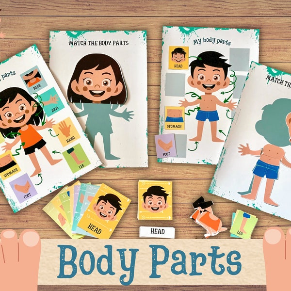 Body Parts Learning Activity Pack Human Anatomy Preschool Worksheets My Body Toddler Busy Binder Montessori Material