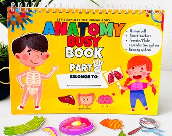 Human Anatomy Busy Book PART 4 Fully Assembled Toddler Learning Binder Quiet Book Homeschool Worksheets Montessori Materials