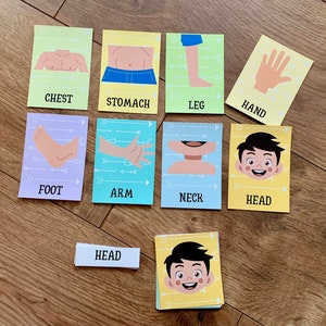 Body Parts Learning Activity Pack Human Anatomy Preschool Worksheets My Body Toddler Busy Binder Montessori Material image 8