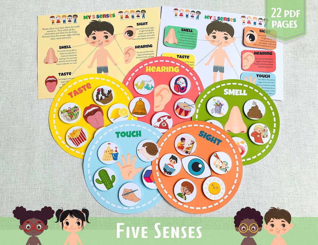 Five Senses Sorting Activity: Montessori Homeschool Printable (PDF) - Etsy