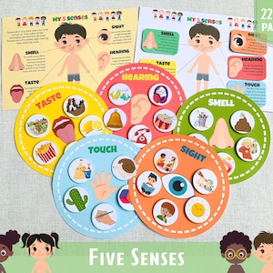 Five Senses Sorting Activity Printable 5 Senses Sorting Homeschool Resource Montessori Material Learning Activity