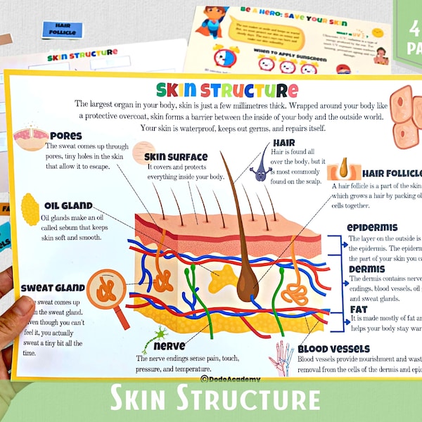 Human Anatomy Printable - Etsy