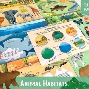 Dierenhabitats Matchingsspel Aardrijkskunde Sorteeractiviteit Dieren Leuke weetjes Montessori-materiaal