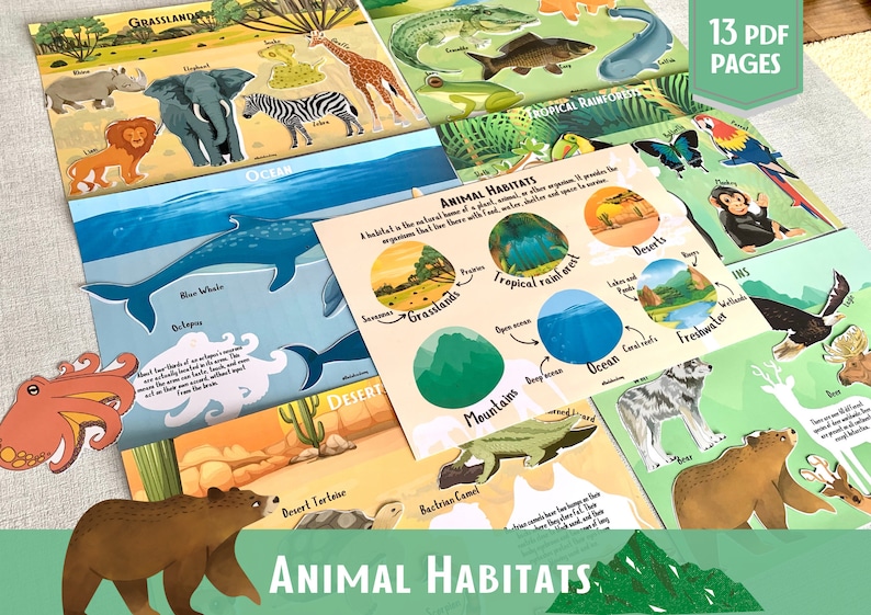 Animal Habitats Matching Game Geography Sorting Activity Etsy