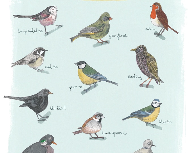 British Garden Birds Identification Poster and checklist