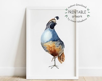 Impression aquarelle de caille numérique, Woodland Printable Wall Art, Illustration d'oiseau de forêt, affiche de caille, faune, pépinière d'art